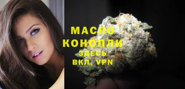 соль ск Бородино