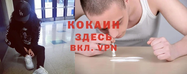 соль ск Бородино