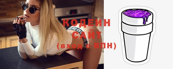 соль ск Бородино